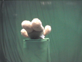 180 Degrees _ Picture 9 _ Light Brown Teddy Bear Lying on Back.png